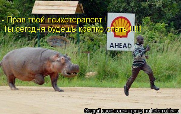 Котоматрица: - Прав твой психотерапевт ! Ты сегодня будешь крепко спать !!!!!