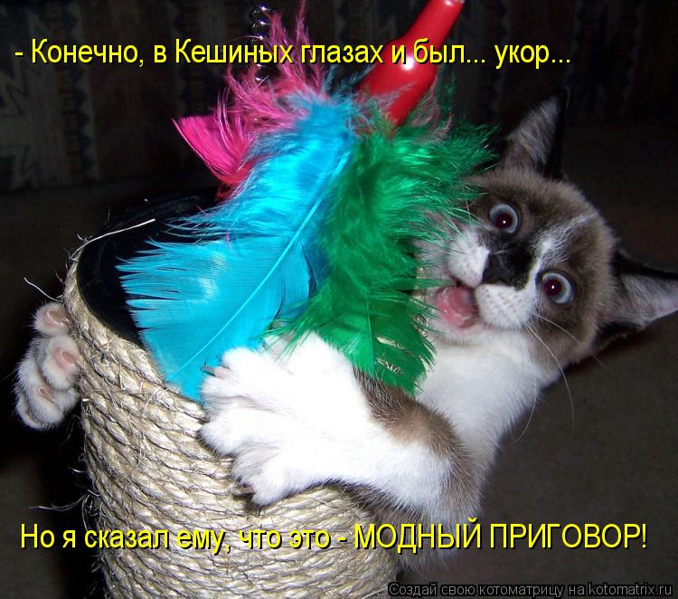 Котоматрица: - Конечно, в Кешиных глазах и был... укор... Но я сказал ему, что это - МОДНЫЙ ПРИГОВОР!