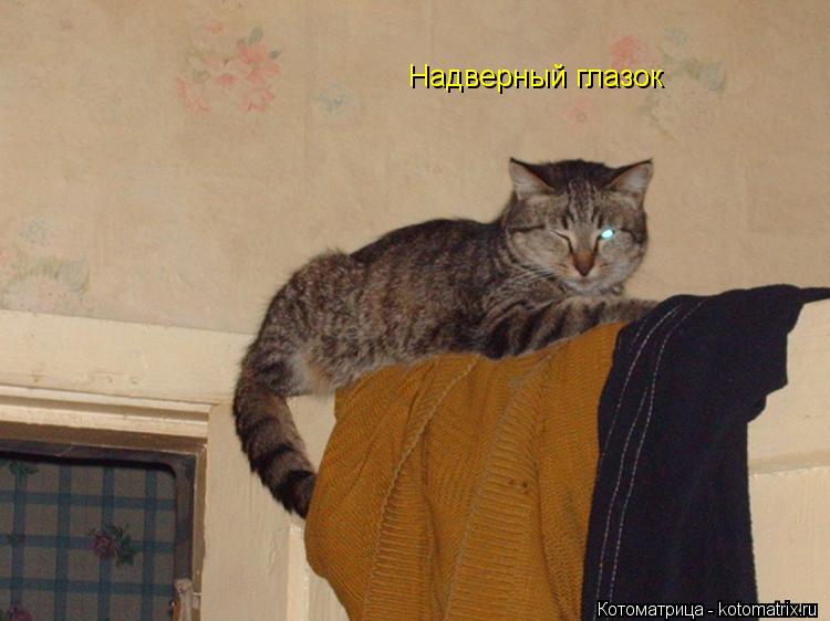 Котоматрица: Надверный глазок