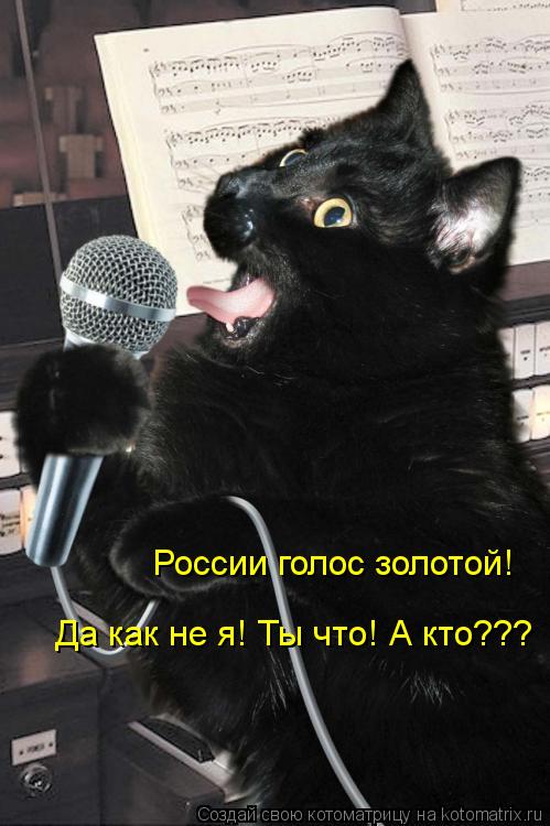 Котоматрица: России голос золотой! Да как не я! Ты что! А кто???
