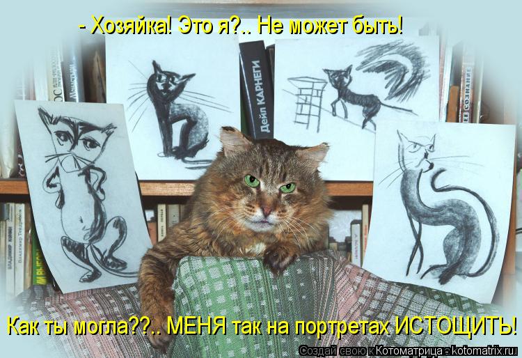 Котоматрица: - Хозяйка! Это я?.. Не может быть! Как ты могла??.. МЕНЯ так на портретах ИСТОЩИТЬ!
