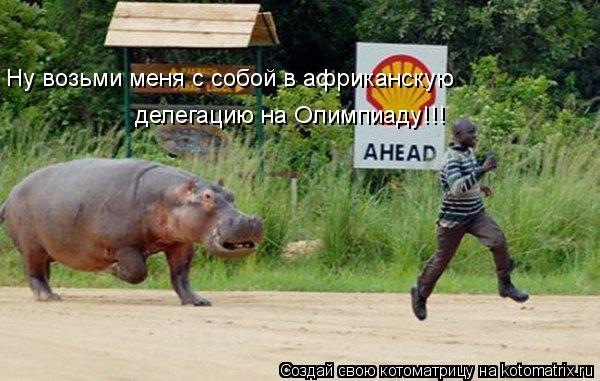 Ну возьми меня с собой в африканскую делегацию на Олимпиаду!!!... Котоматрица: Ну возьми меня с собой в африканскую делегацию на Олимпиаду!!!