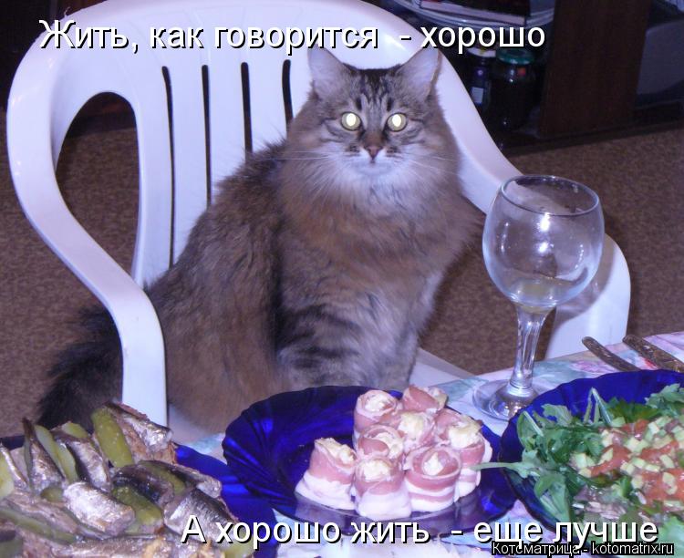 Котоматрица: А хорошо жить  - еще лучше Жить, как говорится  - хорошо