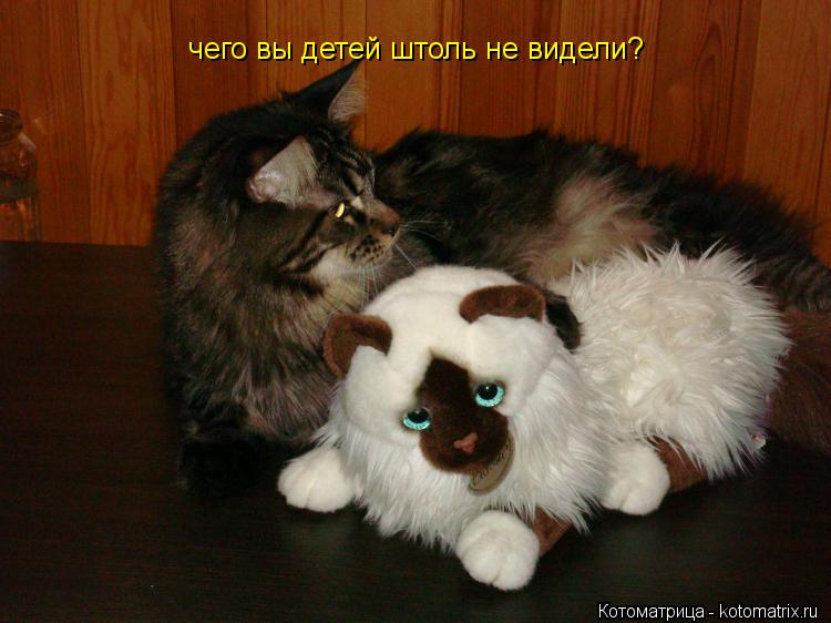 Котоматрица: чего вы детей штоль не видели?