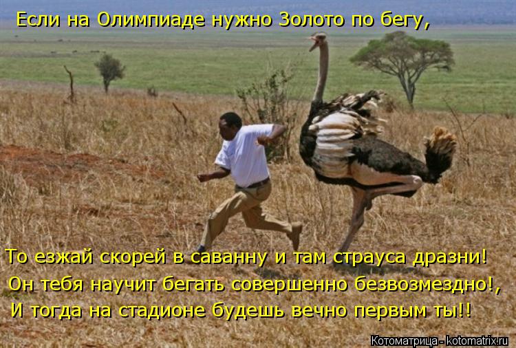 Котоматрица: Он тебя научит бегать совершенно безвозмездно!, Если на Олимпиаде нужно Золото по бегу, То езжай скорей в саванну и там страуса дразни! И тог