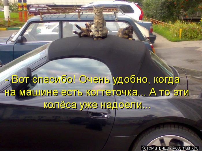 - Вот спасибо! Очень удобно, когда на машине есть когтеточка... А то эти колёса уже надоели...... Котоматрица: - Вот спасибо! Очень удобно, когда на машине есть когтеточка... А то эти колёса уже надоели...