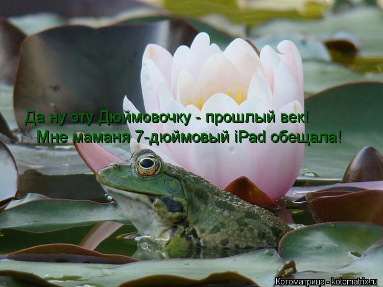 Котоматрица: Да ну эту Дюймовочку - прошлый век! Мне маманя 7-дюймовый iPad обещала!