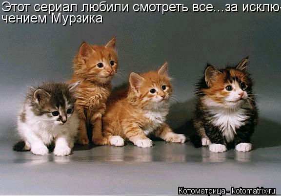 Котоматрица: Этот сериал любили смотреть все...за исклю- чением Мурзика