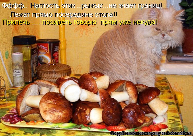 Котоматрица: Лежат прямо посередине стола!! Фффф.. Наглость этих ..рыжых...не знает границ! Прилечь .... посидеть говорю  прям уже некуда!