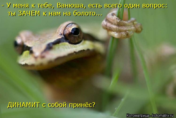 Котоматрица: - У меня к тебе, Ванюша, есть всего один вопрос: ты ЗАЧЕМ к нам на болото... ДИНАМИТ с собой принёс?