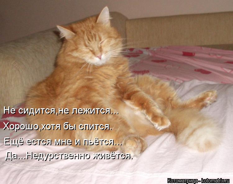 Открытки тому кому не спится Открытки тому кому не спится