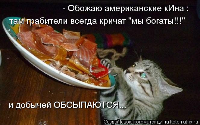 - Обожаю американские кИна : там грабители всегда кричат "мы богаты!!!" и добычей ОБСЫПАЮТСЯ...... Котоматрица: - Обожаю американские кИна : там грабители всегда кричат "мы богаты!!!" и добычей ОБСЫПАЮТСЯ...