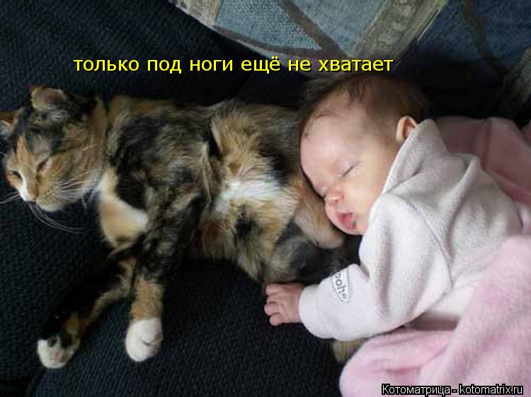 Котоматрица: только под ноги ещё не хватает