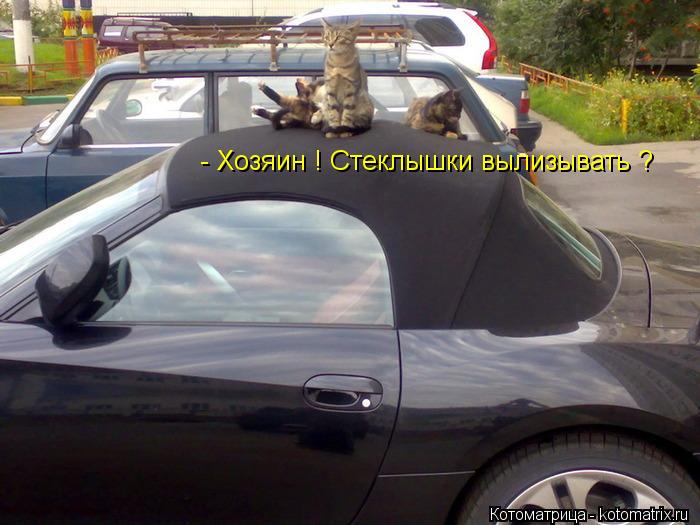 Котоматрица: - Хозяин ! Стеклышки вылизывать ?