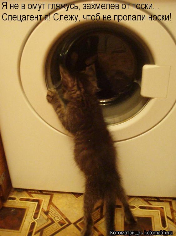 Котоматрица: Я не в омут гляжусь, захмелев от тоски... Спецагент я! Слежу, чтоб не пропали носки!