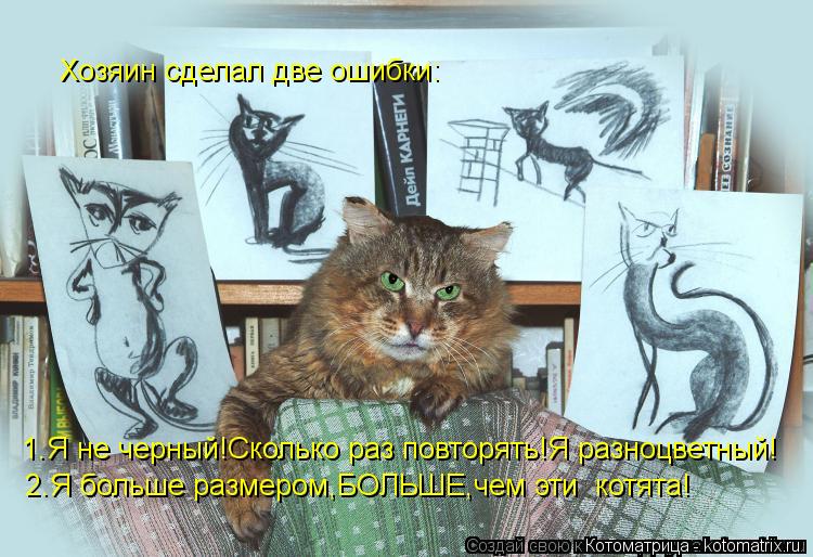 Хозяин сделал две ошибки: 1.Я не черный!Сколько раз повторять!Я разноцветный! 2.Я больше размером,БОЛ... Котоматрица: Хозяин сделал две ошибки: 1.Я не черный!Сколько раз повторять!Я разноцветный! 2.Я больше размером,БОЛЬШЕ,чем эти котята!