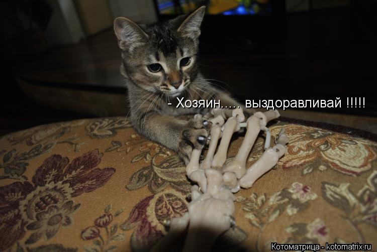 Котоматрица: - Хозяин..... выздоравливай !!!!!