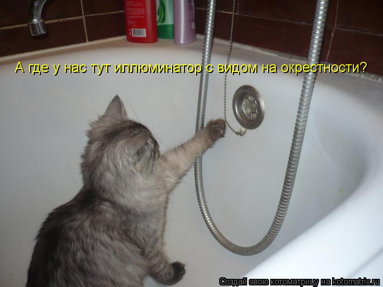 Котоматрица: А где у нас тут иллюминатор с видом на окрестности?