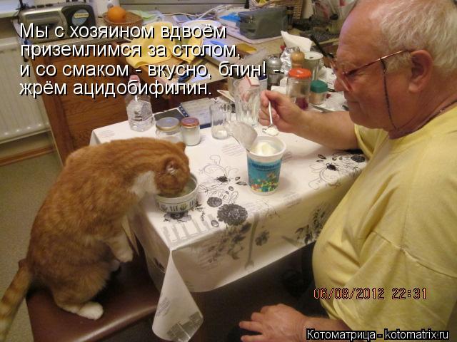Котоматрица: Мы с хозяином вдвоём  приземлимся за столом, и со смаком - вкусно, блин! - жрём ацидобифилин.