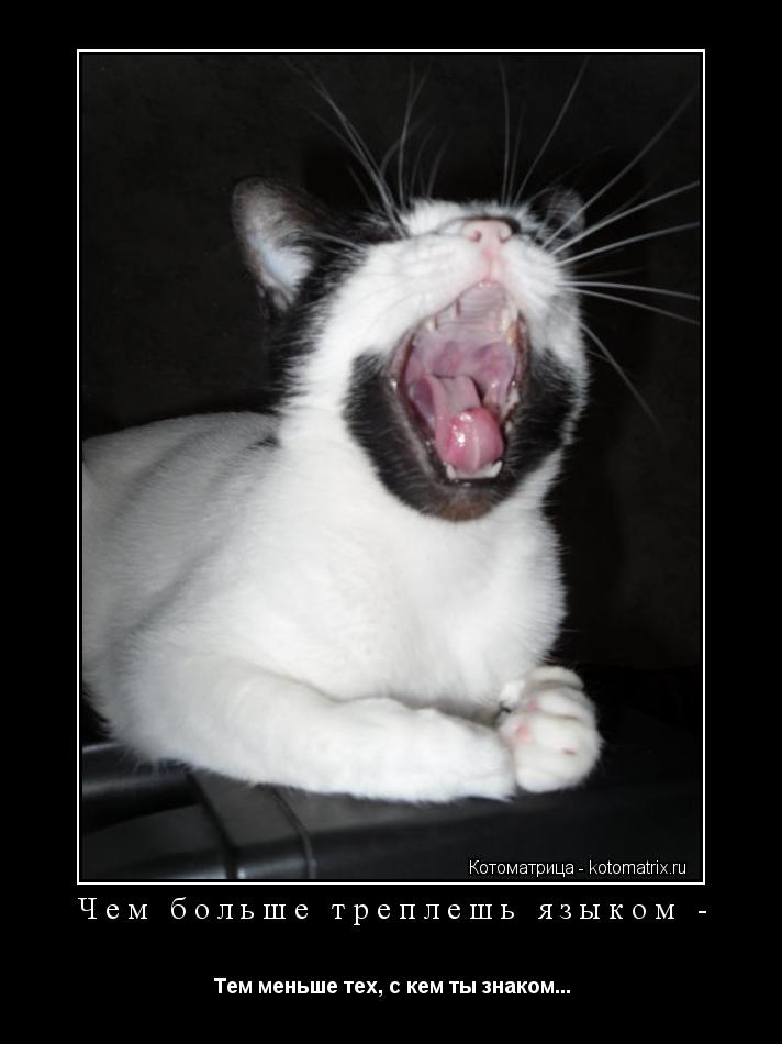 Котоматрица: Чем больше треплешь языком - Тем меньше тех, с кем ты знаком...
