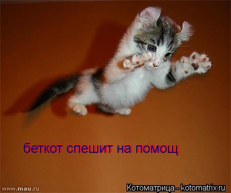 Котоматрица: беткот спешит на помощ  беткот спешит на помощ