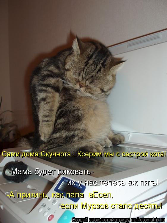 Сами дома.Скучнота...Ксерим мы с сестрой кота! -Мама будет ликовать- их у нас теперь аж пять! -А прик... Котоматрица: Сами дома.Скучнота...Ксерим мы с сестрой кота! -Мама будет ликовать- их у нас теперь аж пять! -А прикинь, как папа вЕсел, если Мурзов стало деся
