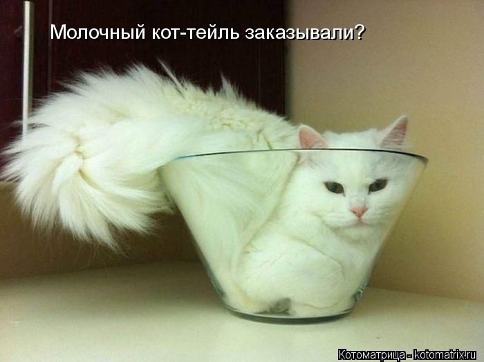 Котоматрица: Молочный кот-тейль заказывали?