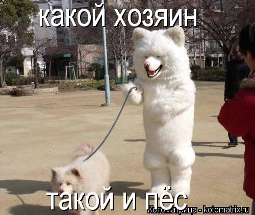 Котоматрица: какой хозяин такой и пёс