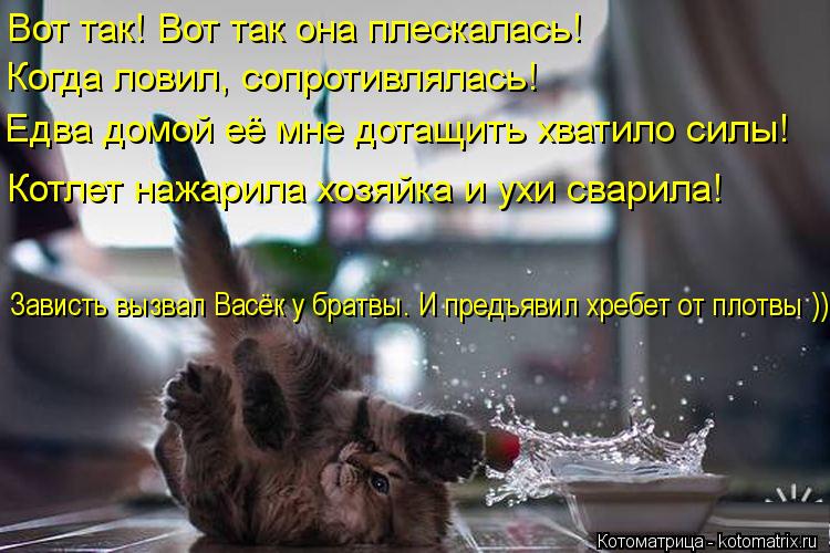 Котоматрица: Вот так! Вот так она плескалась!  Когда ловил, сопротивлялась! Едва домой её мне дотащить хватило силы! Котлет нажарила хозяйка и ухи сварила