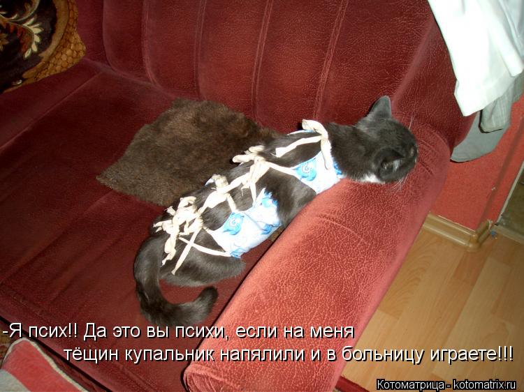 Котоматрица: -Я псих!! Да это вы психи, если на меня  тёщин купальник напялили и в больницу играете!!!