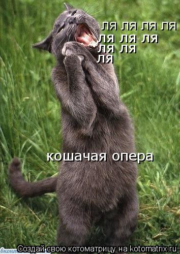 Котоматрица: ля ля ля ля ля ля кошачая опера ля ля ля ля ля  ля