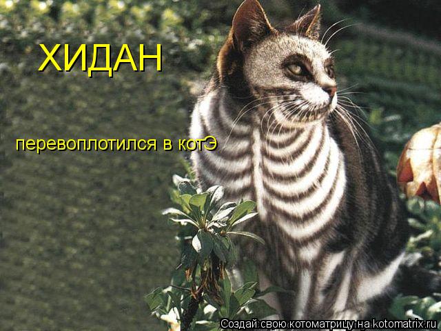 Котоматрица: ХИДАН перевоплотился в котЭ