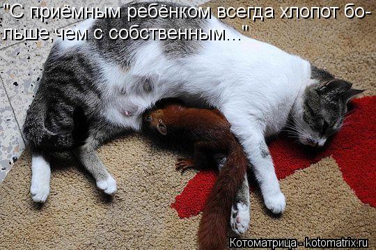 Котоматрица: "С приёмным ребёнком всегда хлопот бо- льше,чем с собственным..."