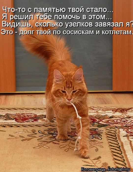Котоматрица: Видишь, сколько узелков завязал я? Это - долг твой по сосискам и котлетам... Я решил тебе помочь в этом... Что-то с памятью твой стало...