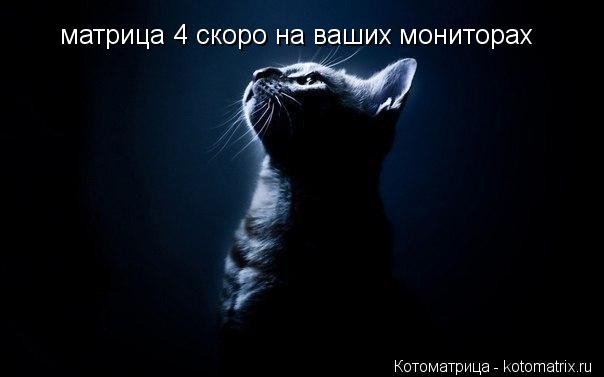 Котоматрица: матрица 4 скоро на ваших мониторах