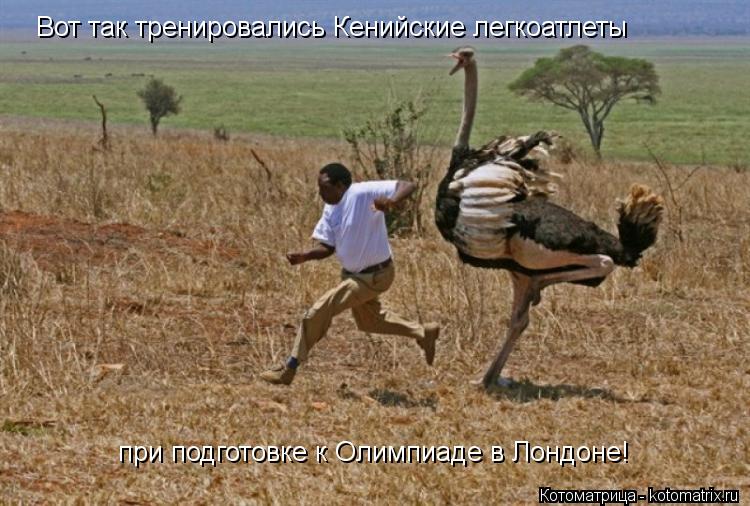 Котоматрица: Вот так тренировались Кенийские легкоатлеты  при подготовке к Олимпиаде в Лондоне!