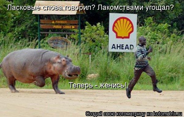 Котоматрица: Ласковые слова говорил? Лакомствами угощал?  Теперь - женись!