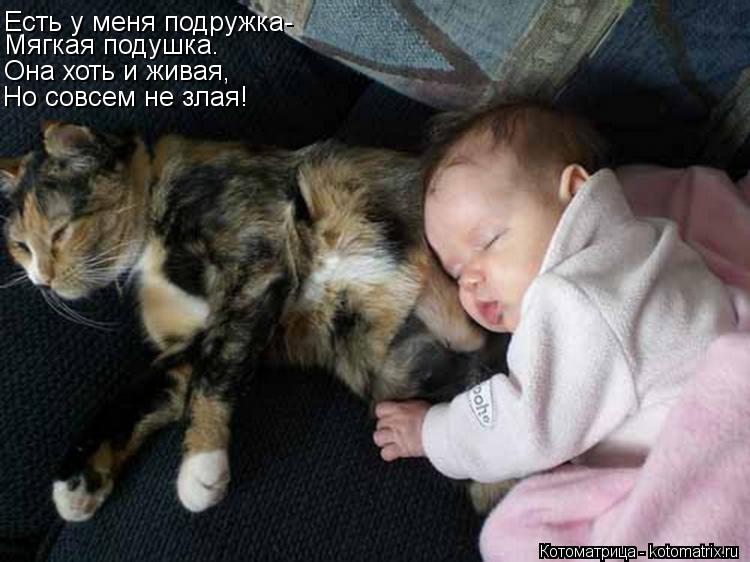 Котоматрица: Есть у меня подружка- Мягкая подушка. Она хоть и живая, Но совсем не злая!
