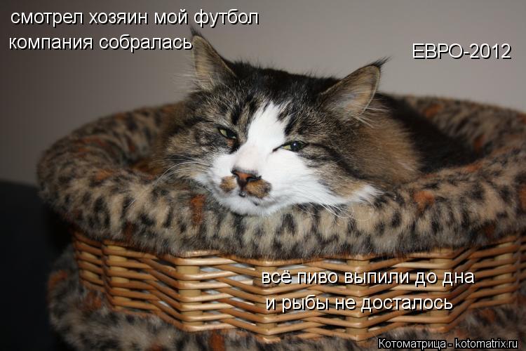 Котоматрица: и рыбы не досталось смотрел хозяин мой футбол компания собралась всё пиво выпили до дна ЕВРО-2012