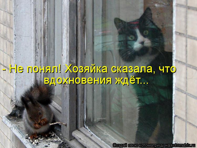 Котоматрица: - Не понял! Хозяйка сказала, что вдохновения ждёт...