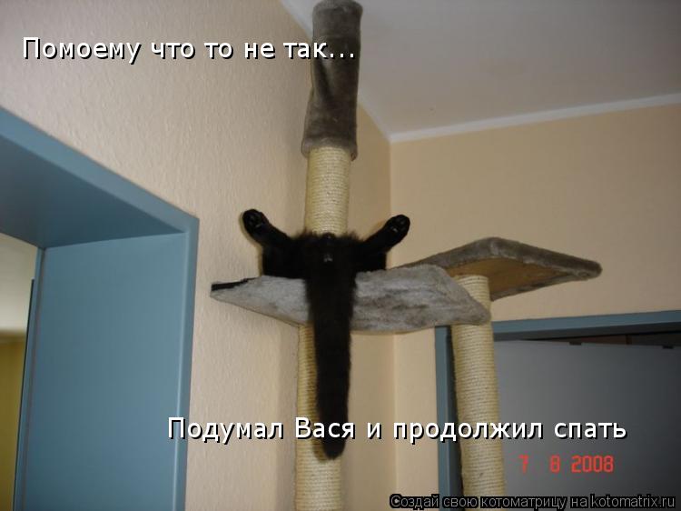 Котоматрица: Помоему что то не так... Подумал Вася и продолжил спать