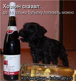 Котоматрица: Хозяин сказал: до 18 только бутылку полизать можно