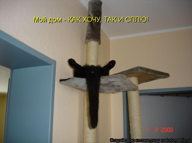 Котоматрица: Мой дом - КАК ХОЧУ, ТАК И СПЛЮ!