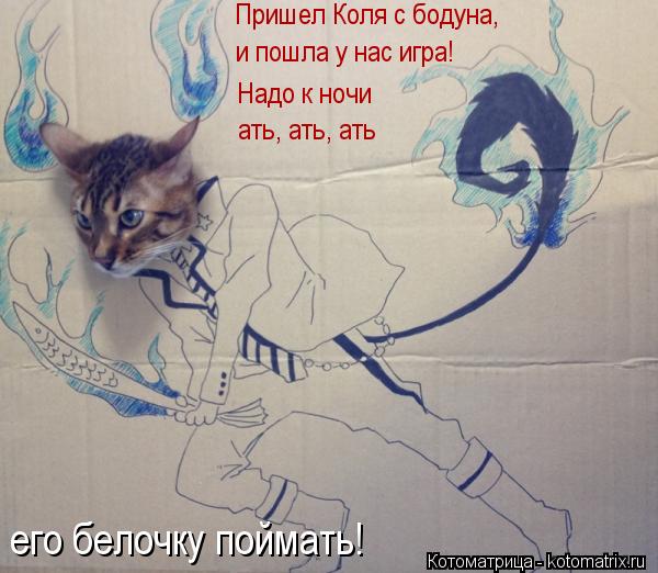 Котоматрица: Пришел Коля с бодуна, и пошла у нас игра! Надо к ночи  ать, ать, ать его белочку поймать!