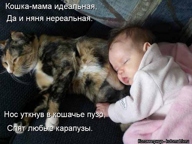 Кошка-мама идеальная, Да и няня нереальная. Нос уткнув в кошачье пузо, Спят любые карапузы.... Котоматрица: Кошка-мама идеальная, Да и няня нереальная. Нос уткнув в кошачье пузо, Спят любые карапузы.
