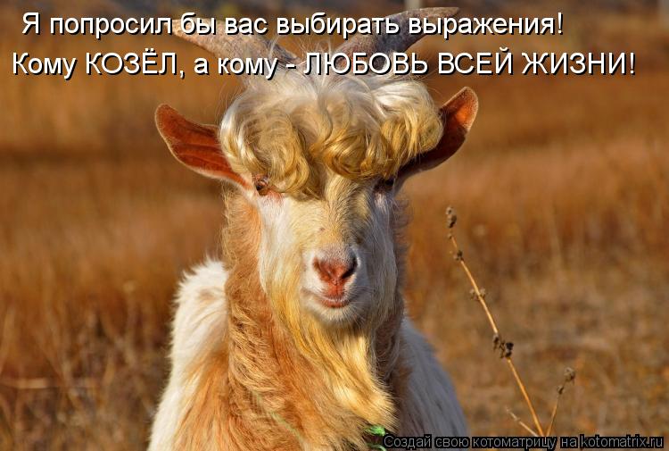 Я попросил бы вас выбирать выражения! Кому КОЗЁЛ, а кому - ЛЮБОВЬ ВСЕЙ ЖИЗНИ!... Котоматрица: Я попросил бы вас выбирать выражения! Кому КОЗЁЛ, а кому - ЛЮБОВЬ ВСЕЙ ЖИЗНИ!
