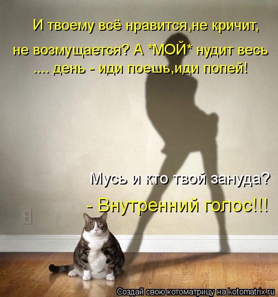 Котоматрица: .... день - иди поешь,иди попей!  И твоему всё нравится,не кричит, не возмущается? А *МОЙ* нудит весь Мусь и кто твой зануда? - Внутренний голос!!!