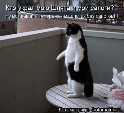 Котоматрица: Кто украл мою Шляпа и мои сапоги? Ну вот какой я теперь кот в сапогах без сапогов!!!!