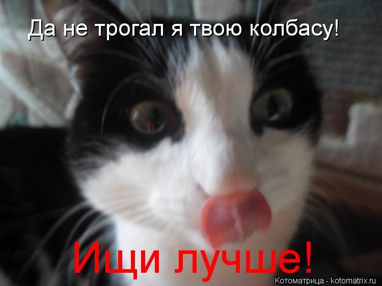 Котоматрица: Да не трогал я твою колбасу! Ищи лучше!