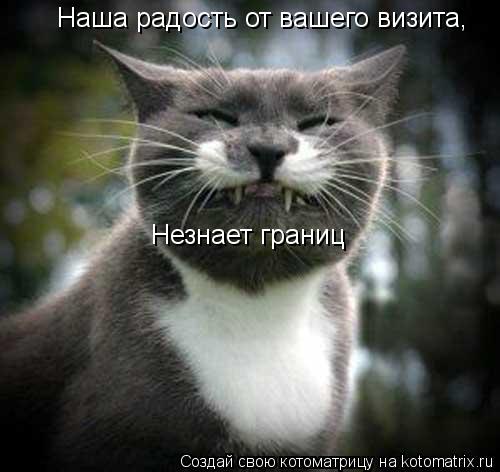 Наша радость от вашего визита, Незнает границ... Котоматрица: Наша радость от вашего визита, Незнает границ